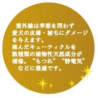 �糰���ϵ������鷺���������桦���Ӥ˥��᡼����Ϳ���ޤ�����������塼�ƥ�����������ο�ʪ��ŷ����ʬ���佤���ɤ�Ĥ�� �����ŵ��ɤʤɤ˺�Ŭ�Ǥ���