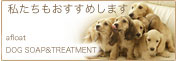 私たちもおすすめします