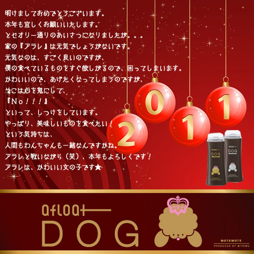 明けましておめでとうございます。本年も宜しくお願いいたします。