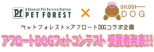 ペットフォレスト×アフロートDOGコラボ企画 アフロートDOGフォトコンテスト受賞者発表